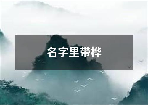 名字里带桦