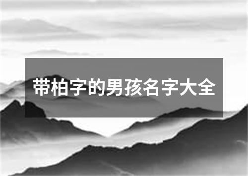 带柏字的男孩名字大全