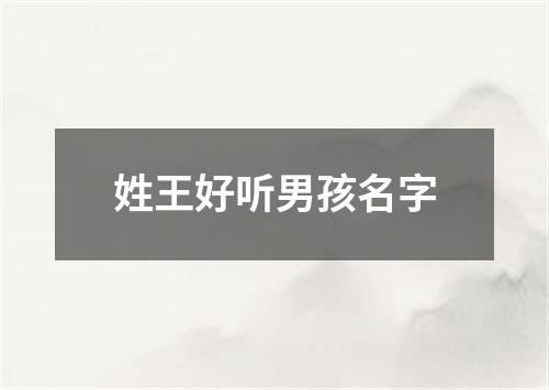 姓王好听男孩名字