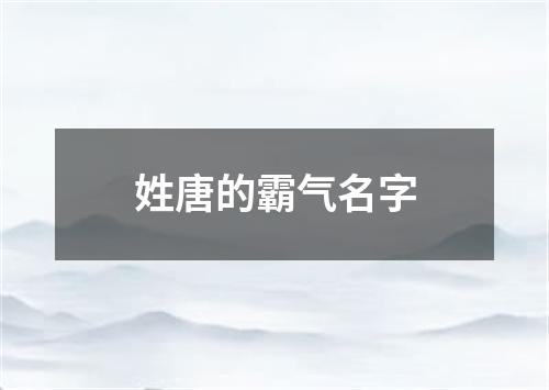 姓唐的霸气名字