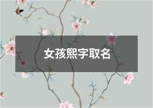 女孩熙字取名