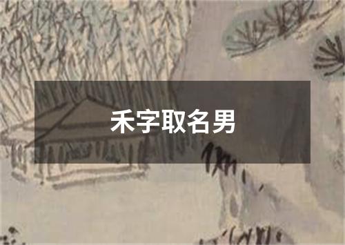 禾字取名男