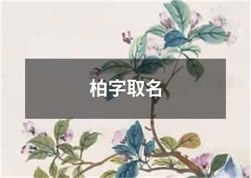 柏字取名