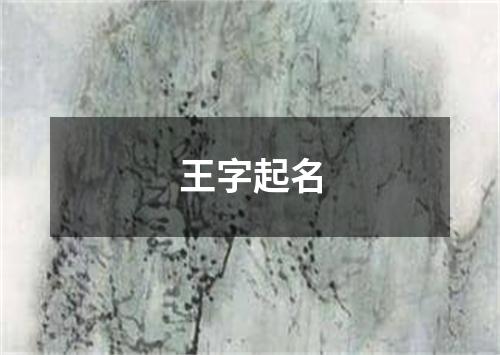 王字起名