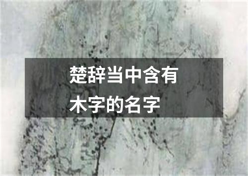 楚辞当中含有木字的名字