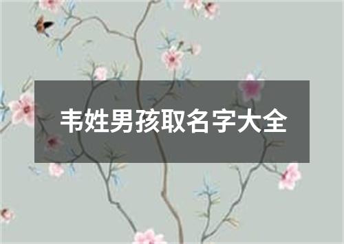 韦姓男孩取名字大全