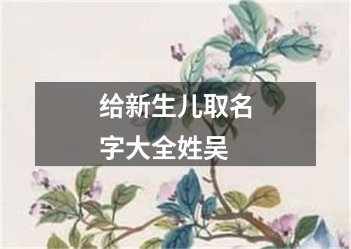 给新生儿取名字大全姓吴