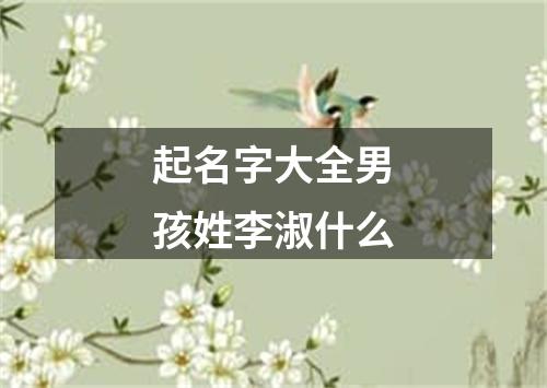 起名字大全男孩姓李淑什么