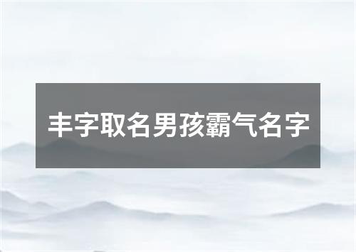 丰字取名男孩霸气名字