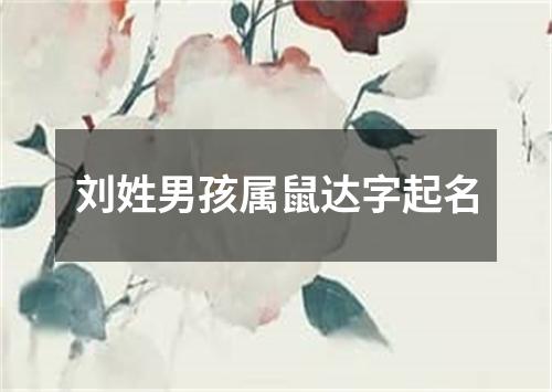 刘姓男孩属鼠达字起名