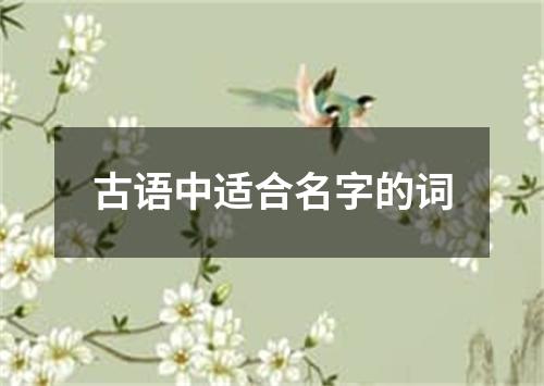 古语中适合名字的词