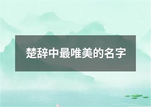 楚辞中最唯美的名字