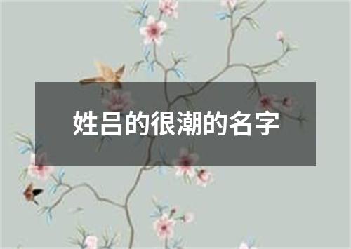 姓吕的很潮的名字