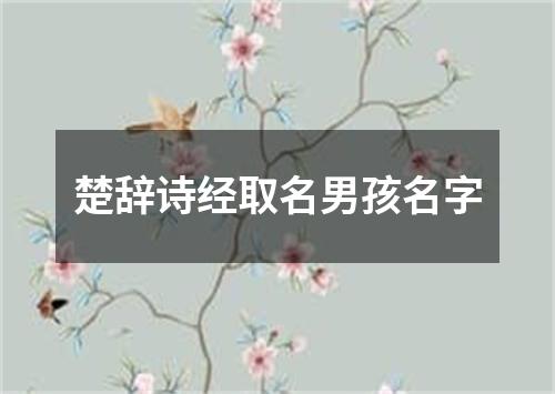 楚辞诗经取名男孩名字