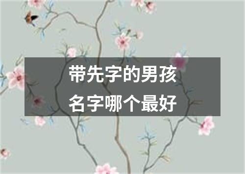 带先字的男孩名字哪个最好