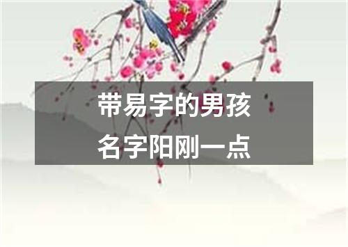 带易字的男孩名字阳刚一点