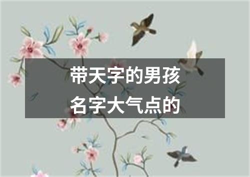 带天字的男孩名字大气点的