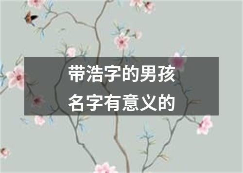 带浩字的男孩名字有意义的