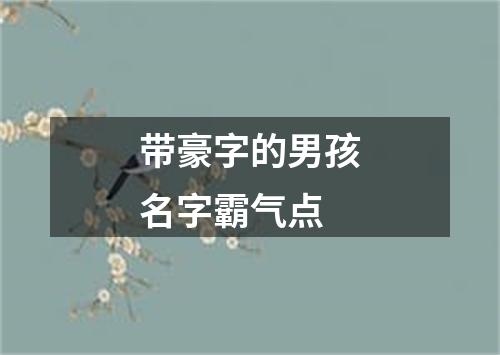 带豪字的男孩名字霸气点