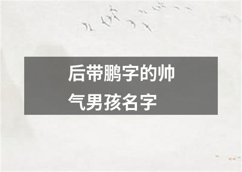 后带鹏字的帅气男孩名字