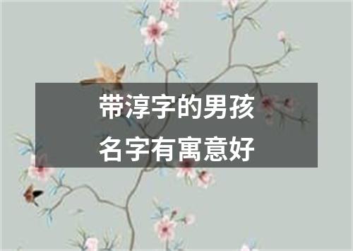 带淳字的男孩名字有寓意好