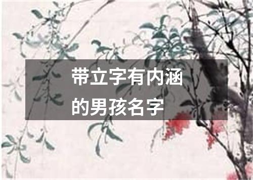 带立字有内涵的男孩名字