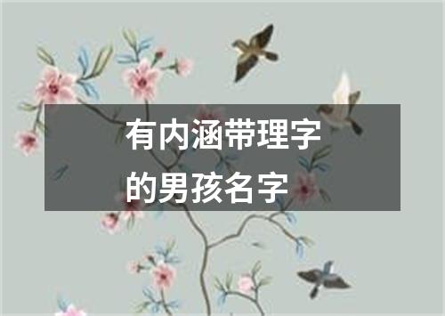 有内涵带理字的男孩名字