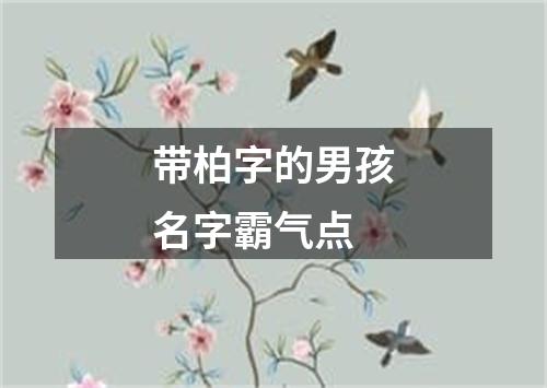 带柏字的男孩名字霸气点