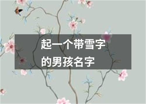 起一个带雪字的男孩名字