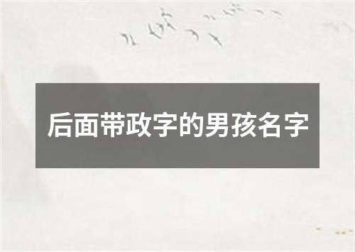 后面带政字的男孩名字