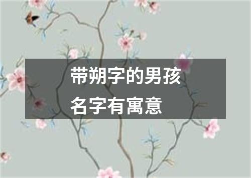 带朔字的男孩名字有寓意