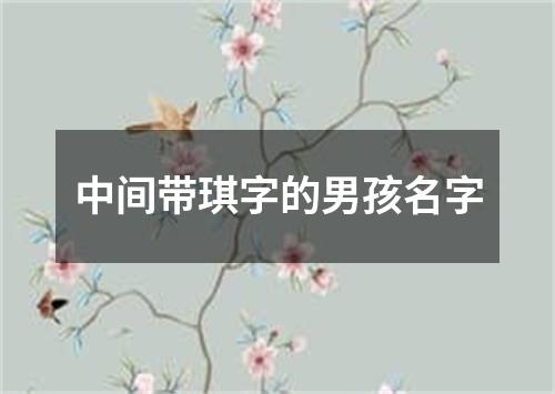 中间带琪字的男孩名字