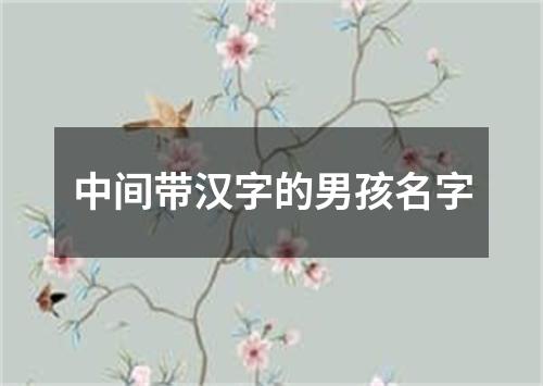 中间带汉字的男孩名字