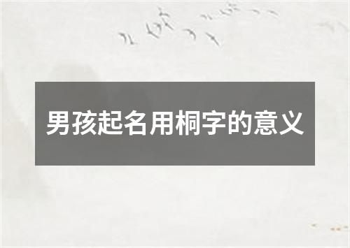 男孩起名用桐字的意义