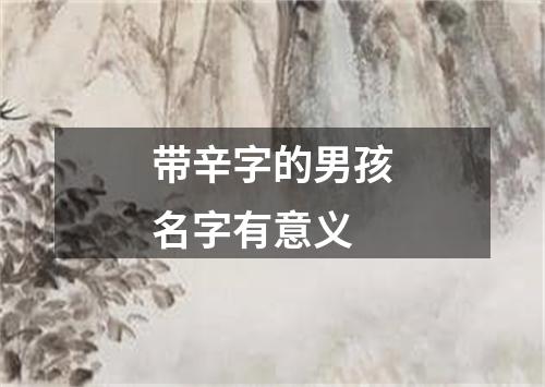 带辛字的男孩名字有意义