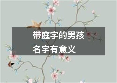 带庭字的男孩名字有意义