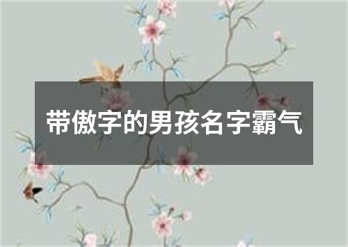 带傲字的男孩名字霸气