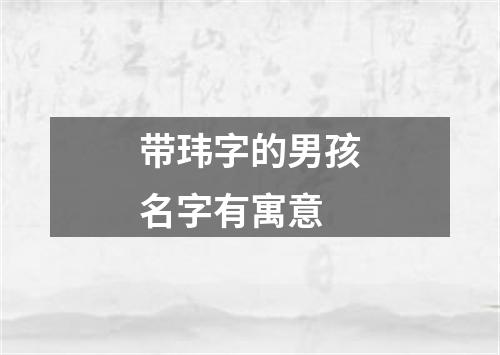 带玮字的男孩名字有寓意