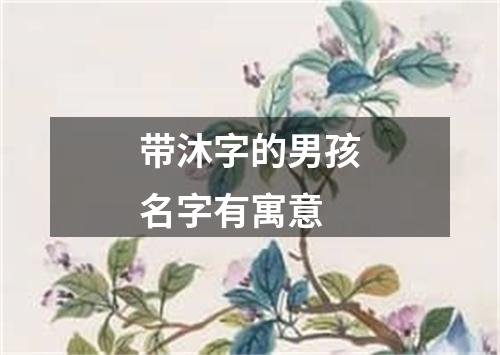 带沐字的男孩名字有寓意