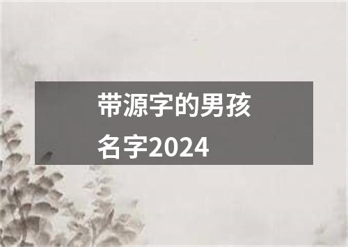 带源字的男孩名字2024