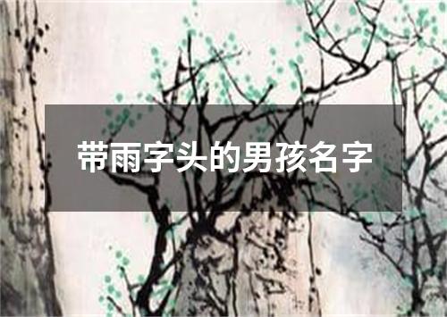 带雨字头的男孩名字