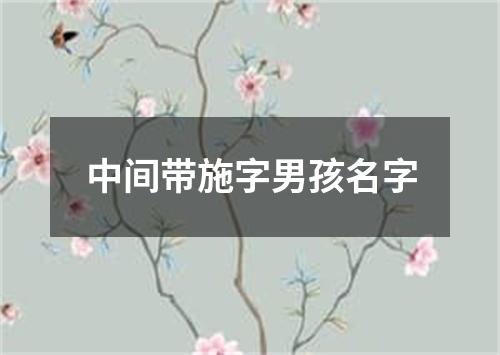 中间带施字男孩名字