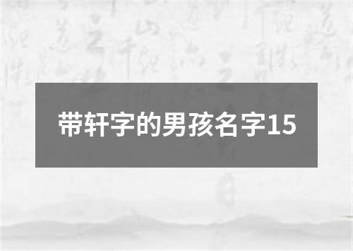 带轩字的男孩名字15