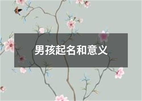 男孩起名和意义