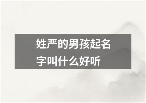 姓严的男孩起名字叫什么好听