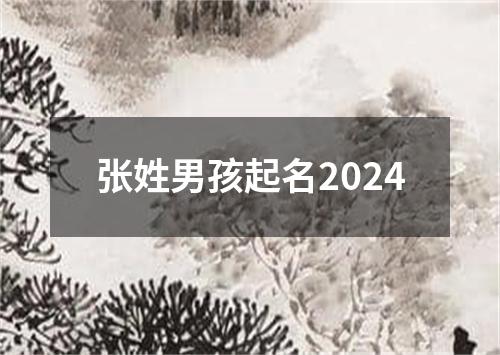 张姓男孩起名2024