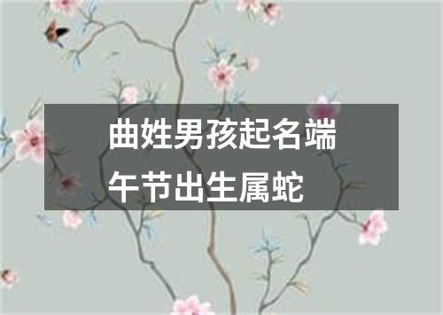 曲姓男孩起名端午节出生属蛇