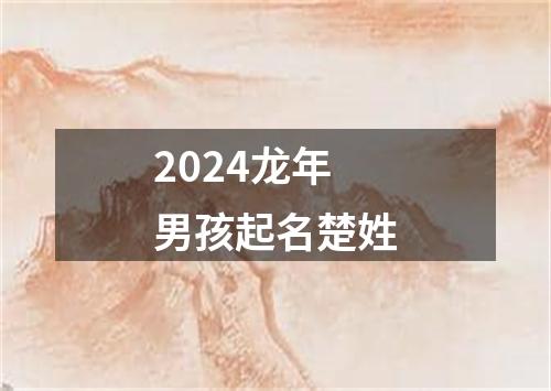 2024龙年男孩起名楚姓