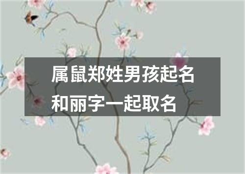 属鼠郑姓男孩起名和丽字一起取名