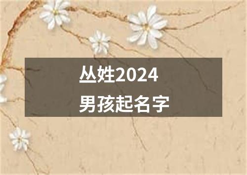 丛姓2024男孩起名字